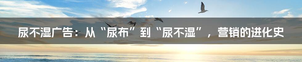 尿不湿广告:从“尿布”到“尿不湿”,营销的进化史