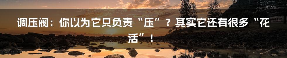 调压阀:你以为它只负责“压”?其实它还有很多“花活”!