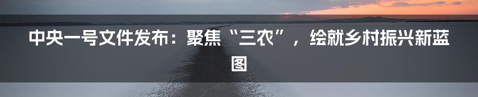 中央一号文件发布：聚焦“三农”，绘就乡村振兴新蓝图