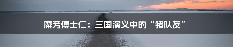 糜芳傅士仁:三国演义中的“猪队友”