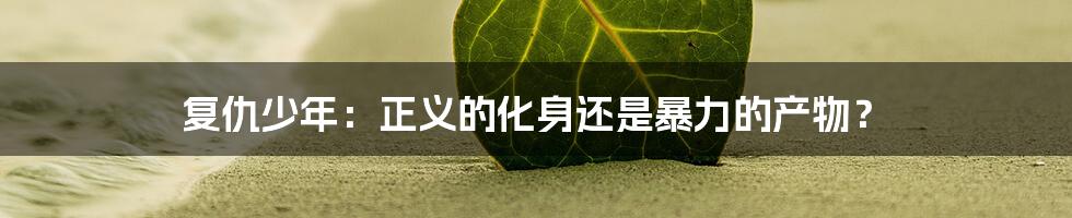 复仇少年:正义的化身还是暴力的产物?