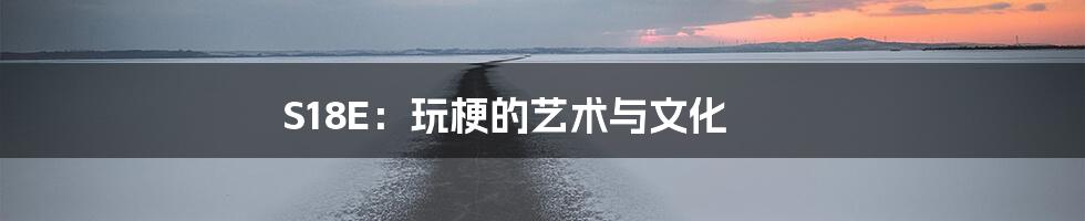 S18E:玩梗的艺术与文化