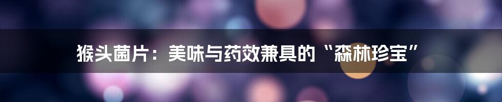 猴头菌片:美味与药效兼具的“森林珍宝”