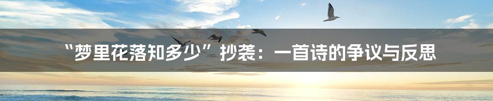 “梦里花落知多少”抄袭：一首诗的争议与反思