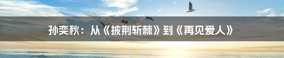 孙奕秋:从《披荆斩棘》到《再见爱人》