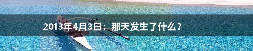 2013年4月3日:那天发生了什么?