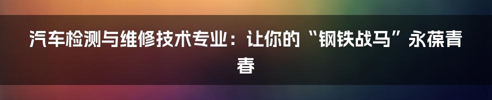 汽车检测与维修技术专业:让你的“钢铁战马”永葆青春