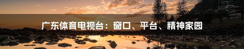 广东体育电视台:窗口、平台、精神家园