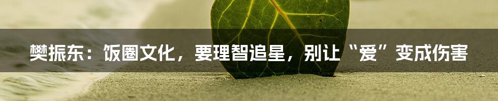 樊振东：饭圈文化，要理智追星，别让“爱”变成伤害