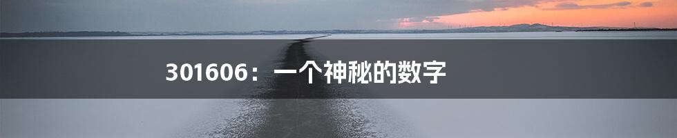 301606:一个神秘的数字