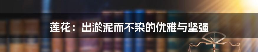 莲花:出淤泥而不染的优雅与坚强