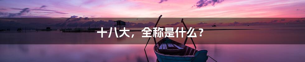 十八大,全称是什么?