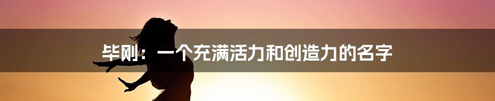 毕刚:一个充满活力和创造力的名字