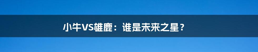 小牛VS雄鹿:谁是未来之星?
