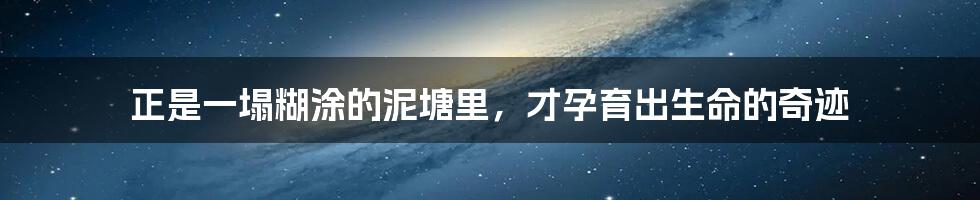 正是一塌糊涂的泥塘里,才孕育出生命的奇迹