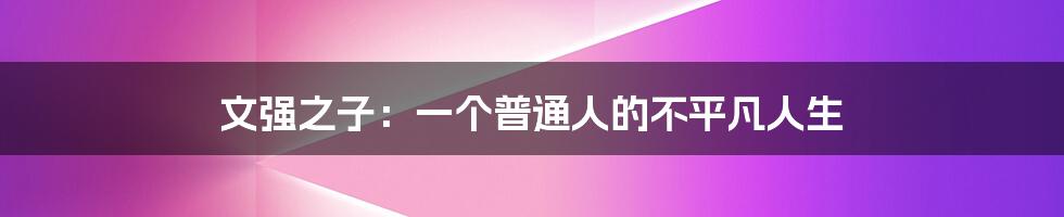 文强之子:一个普通人的不平凡人生
