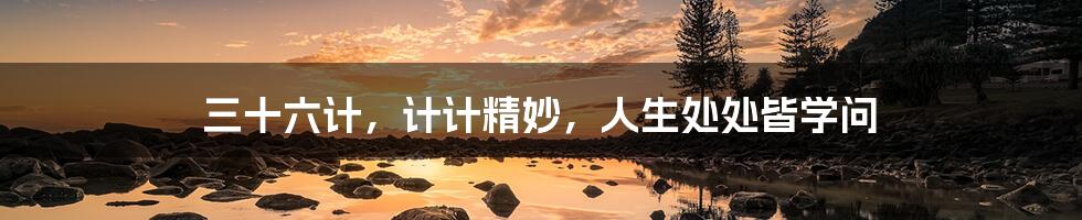 三十六计，计计精妙，人生处处皆学问