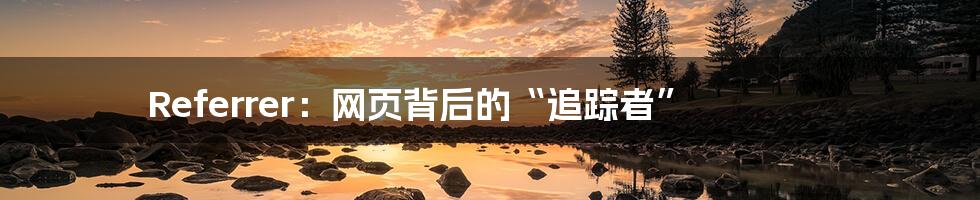 Referrer:网页背后的“追踪者”