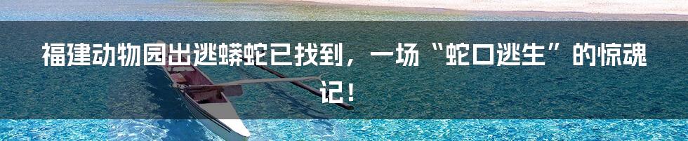 福建动物园出逃蟒蛇已找到,一场“蛇口逃生”的惊魂记!