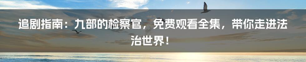 追剧指南:九部的检察官,免费观看全集,带你走进法治世界!