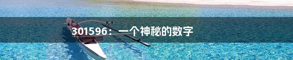 301596:一个神秘的数字