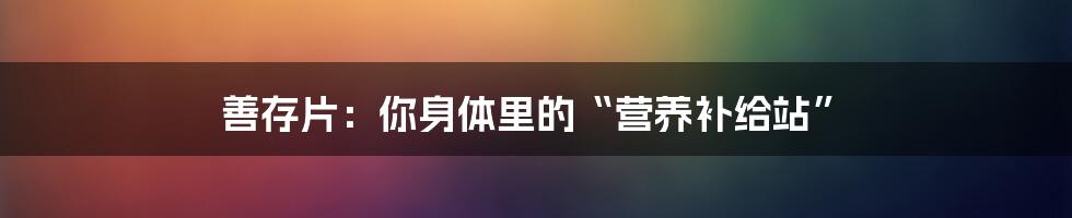 善存片:你身体里的“营养补给站”