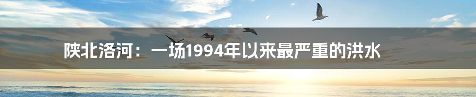 陕北洛河:一场1994年以来最严重的洪水