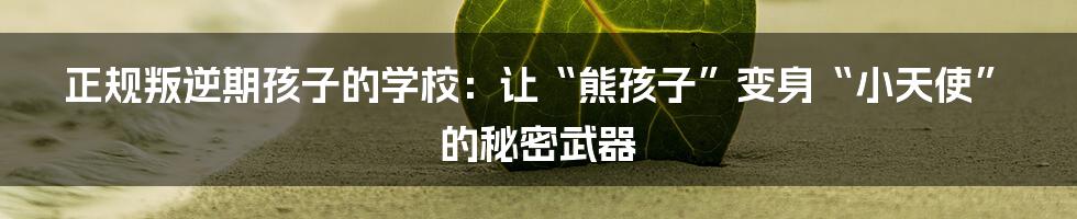 正规叛逆期孩子的学校：让“熊孩子”变身“小天使”的秘密武器