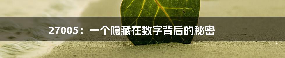 27005:一个隐藏在数字背后的秘密