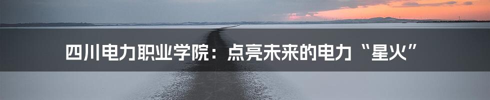 四川电力职业学院:点亮未来的电力“星火”