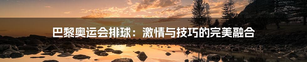 巴黎奥运会排球:激情与技巧的完美融合