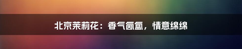 北京茉莉花:香气氤氲,情意绵绵