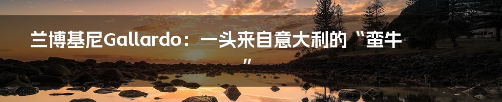 兰博基尼Gallardo:一头来自意大利的“蛮牛”
