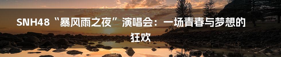 SNH48“暴风雨之夜”演唱会:一场青春与梦想的狂欢