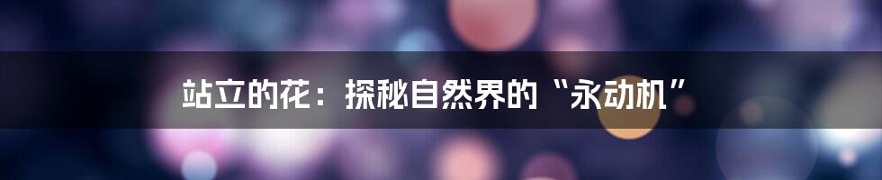 站立的花:探秘自然界的“永动机”