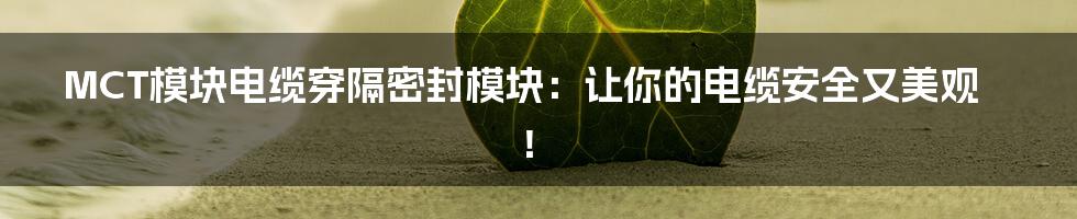 MCT模块电缆穿隔密封模块：让你的电缆安全又美观！