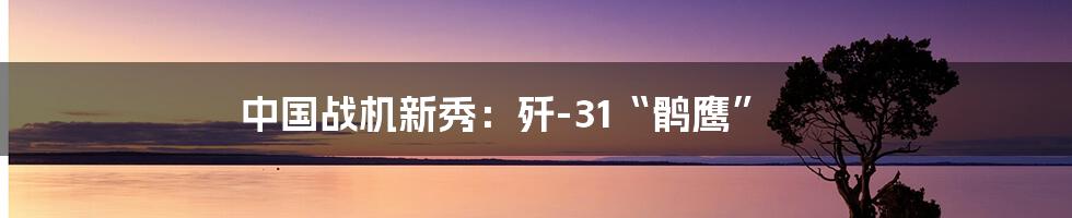 中国战机新秀:歼-31“鹘鹰”