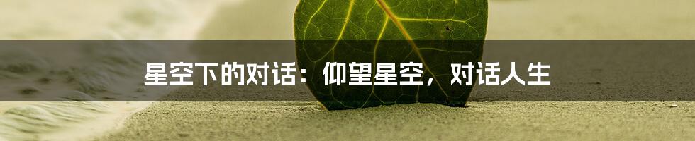 星空下的对话:仰望星空,对话人生