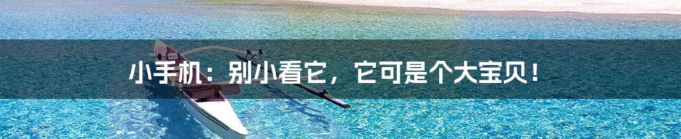 小手机:别小看它,它可是个大宝贝!