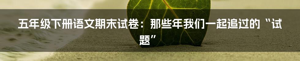 五年级下册语文期末试卷:那些年我们一起追过的“试题”
