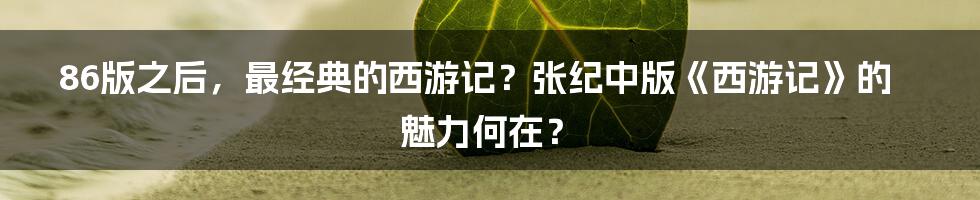 86版之后,最经典的西游记?张纪中版《西游记》的魅力何在?