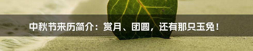 中秋节来历简介:赏月、团圆,还有那只玉兔!