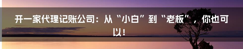 开一家代理记账公司:从“小白”到“老板”,你也可以!