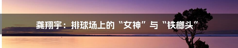 龚翔宇:排球场上的“女神”与“铁榔头”