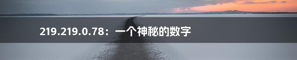 219.219.0.78:一个神秘的数字
