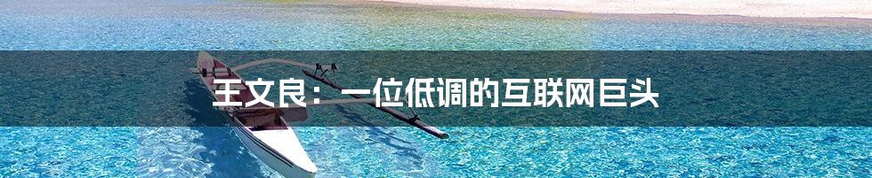 王文良:一位低调的互联网巨头