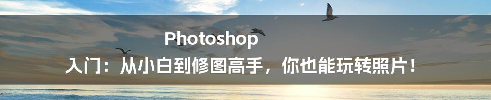 Photoshop 入门:从小白到修图高手,你也能玩转照片!