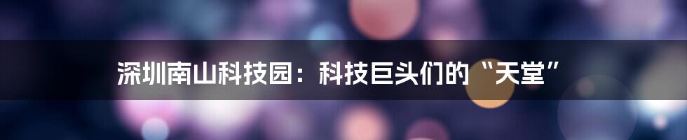 深圳南山科技园:科技巨头们的“天堂”