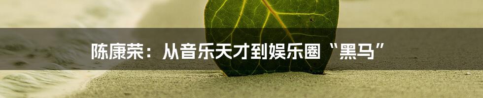 陈康荣:从音乐天才到娱乐圈“黑马”
