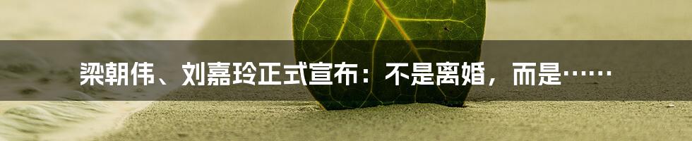 梁朝伟、刘嘉玲正式宣布:不是离婚,而是……